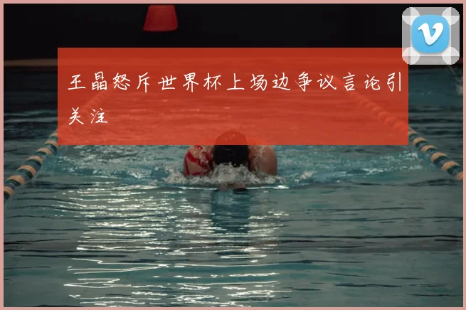王晶怒斥世界杯上场边争议言论引关注