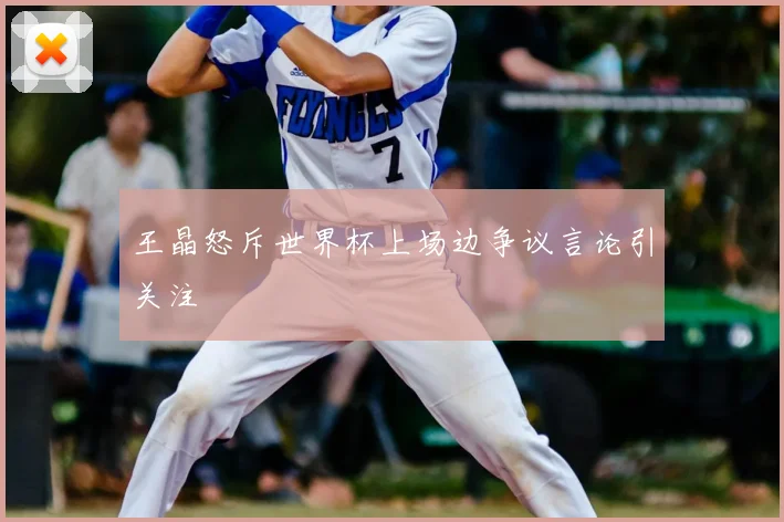 王晶怒斥世界杯上场边争议言论引关注