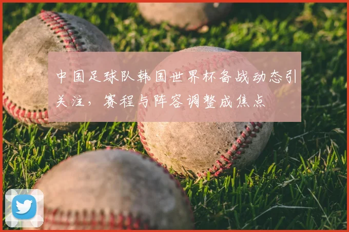 中国足球队韩国世界杯备战动态引关注,赛程与阵容调整成焦点